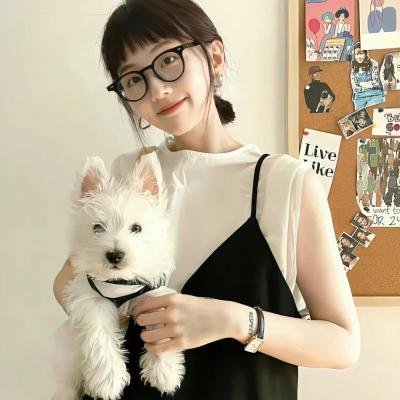 四十四只石狮子