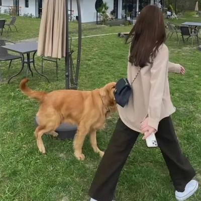 不孝子